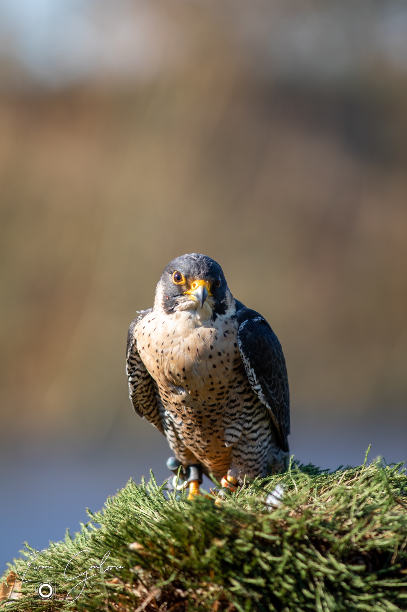 04 maart 2022 144007  5D44055